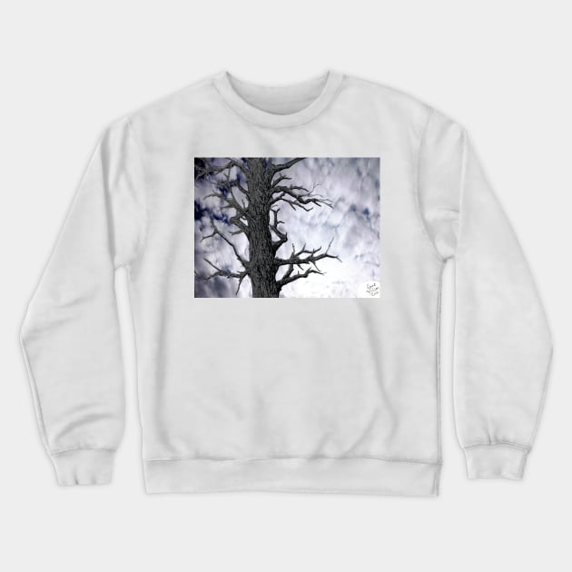 Dark Tree [Pen and Digital Illustration] Crewneck Sweatshirt by grantwilson